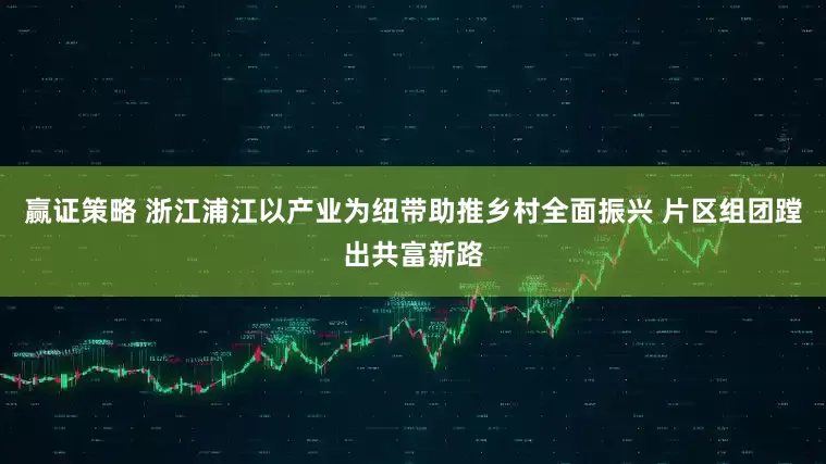 赢证策略 浙江浦江以产业为纽带助推乡村全面振兴 片区组团蹚出共富新路